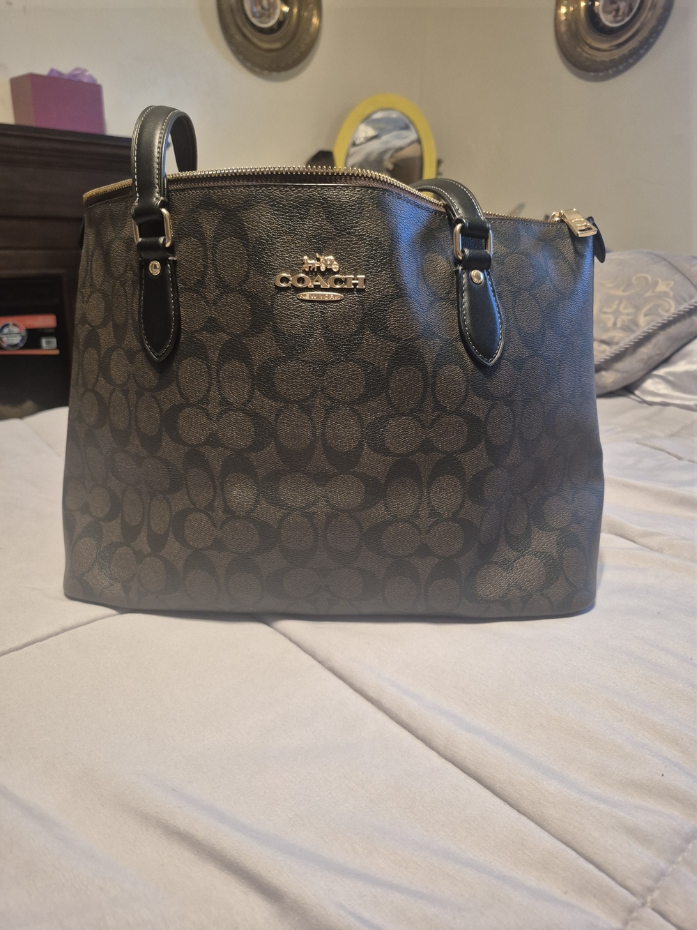Coach Signature Canvas Tote Bag in Dark Brown/Black